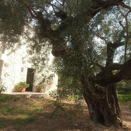 Olive Trees Villa Tragaki Dış mekan fotoğraf