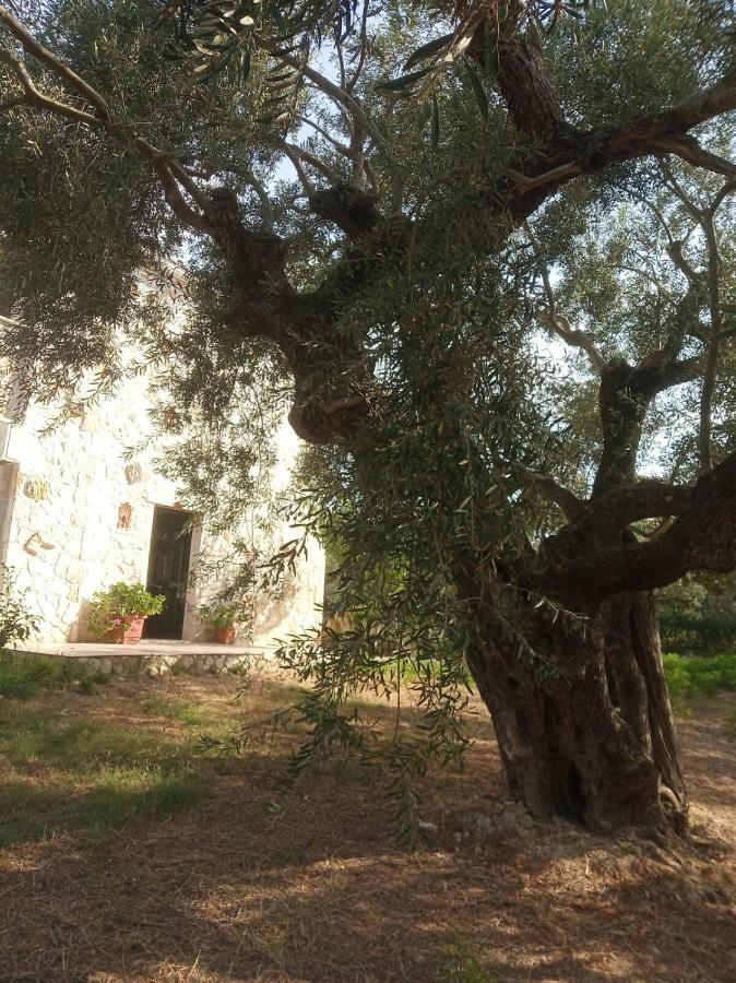 Olive Trees Villa Tragaki Dış mekan fotoğraf